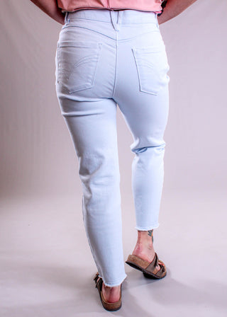 Democracy 27inch inseam Slim Straight Leg jean Icy Blue back - Fashion Crossroads Inc.