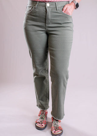 Democracy 27inch inseam Slim Straight Leg Jean
