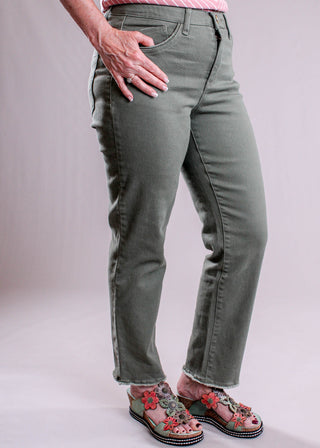 Democracy 27inch inseam Slim Straight Leg Jean