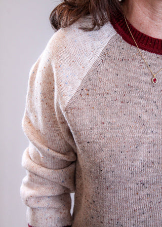 Charlie B Raglan Long Sleeve Crew Neck Color Blocked Sweater